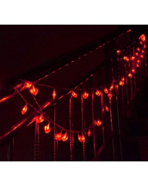 Indoor String Lights 50 LED Valentine Heart Shape String Lights with Remote- Battery Operated Heart String Lights- Red Heart ...