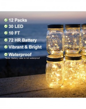 Outdoor String Lights 1 Pack 10 FT 30 LED Fairy String Lights - LED String Lights - Firefly Lights - Silver Wire - Battery Op...