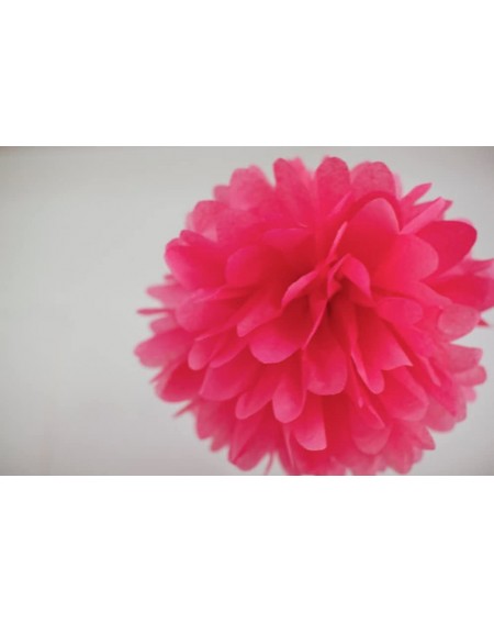 Tissue Pom Poms Valentine's Day Decorations 18 pcs Fuchsia Pink Gold Birthday Party Decorations Tissue Paper Pom Pom Paper La...