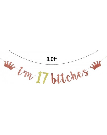 Banners & Garlands I'm 17 Bitches Banner- 17th Birthday Party Decor- Funny Seventeen Years Old Birthday Banner- Girl's 17th B...