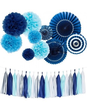 Tissue Pom Poms Tissue Paper Tassel Tissue Paper Pom Poms Flowers Paper Fans Kit for Party Decorations Wedding-Festival-Party...