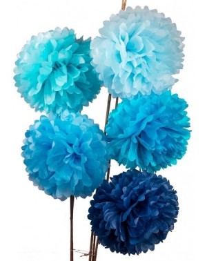 Tissue Pom Poms Tissue Paper Tassel Tissue Paper Pom Poms Flowers Paper Fans Kit for Party Decorations Wedding-Festival-Party...