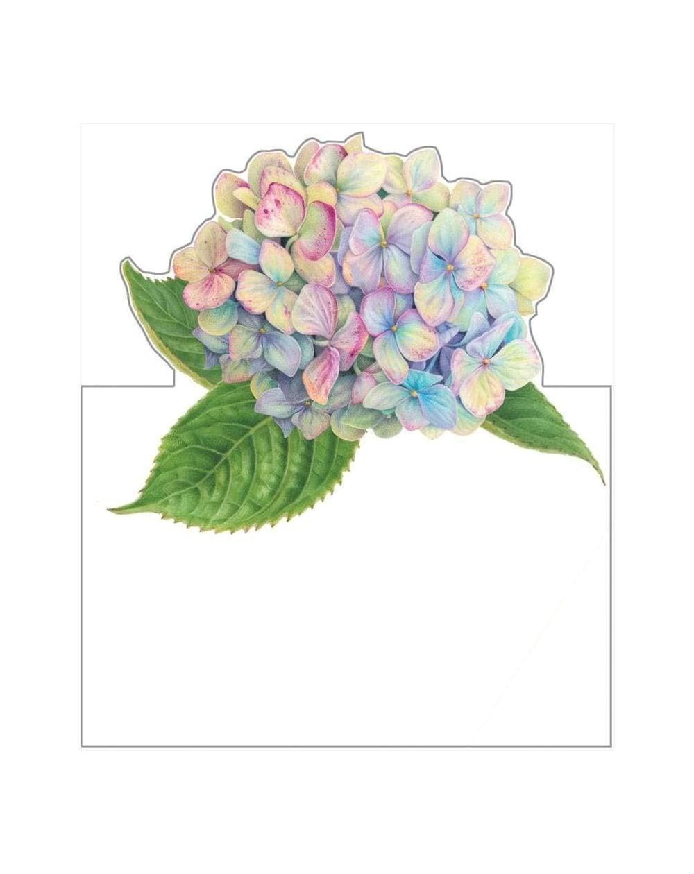 Place Cards & Place Card Holders Hydrangea Garden Die-Cut Place Cards- 24 Included - CV18QURKHOL $14.59