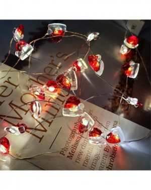 Indoor String Lights Christmas String Lights Decorative LED Lights- 13 feet 40 LEDs Battery Battery Powered String Lights wit...