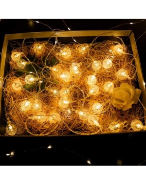 Indoor String Lights Globe String Lights- Battery Operated String Lights 16.4ft 40 LED Lights String for Home- Bedroom- Weddi...