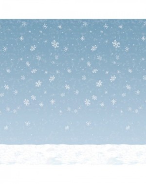 Favors Winter Sky Backdrop Party Accessory (1 count) (1/Pkg) - CX111S5O2ZH $20.07