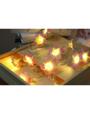 Outdoor String Lights Plumeria Flower String Lights 20LED String Light Hawaiian Foam Artificial Plumeria Flower Battery Power...