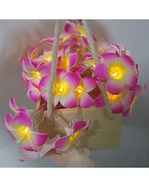 Outdoor String Lights Plumeria Flower String Lights 20LED String Light Hawaiian Foam Artificial Plumeria Flower Battery Power...