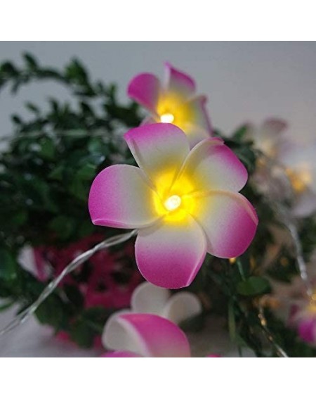 Outdoor String Lights Plumeria Flower String Lights 20LED String Light Hawaiian Foam Artificial Plumeria Flower Battery Power...