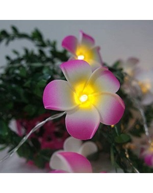 Outdoor String Lights Plumeria Flower String Lights 20LED String Light Hawaiian Foam Artificial Plumeria Flower Battery Power...