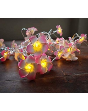 Outdoor String Lights Plumeria Flower String Lights 20LED String Light Hawaiian Foam Artificial Plumeria Flower Battery Power...