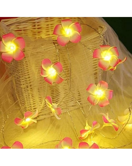 Outdoor String Lights Plumeria Flower String Lights 20LED String Light Hawaiian Foam Artificial Plumeria Flower Battery Power...