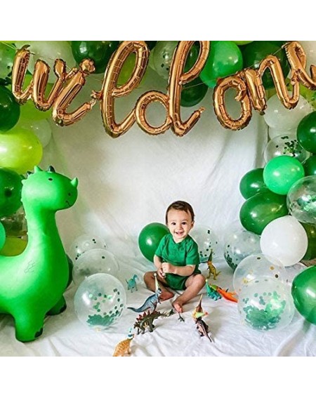 Balloons Wild One Balloons Script Birthday Banner - Mylar Foil Cursive Letter Balloon Decorations Sign - Props or Backdrop fo...