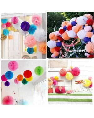 Tissue Pom Poms 15Pcs 3 inch 6 inch 8 inch Paper Honeycomb Balls Party Pom Poms Paper Balls Partners Design Art Craft Hanging...