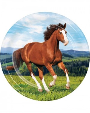 Party Tableware Wild Horse Paper Plates- 24 ct - CT18OHOAA0Q $10.13