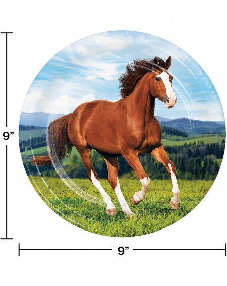 Party Tableware Wild Horse Paper Plates- 24 ct - CT18OHOAA0Q $10.13