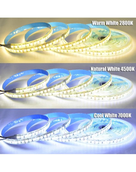 Rope Lights DC24V 16.4ft Tunable White LED Strip Lights- Adjustable CCT Waterproof IP65 LED Ribbon Lights from Warm to Cool W...