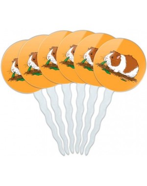 Cake & Cupcake Toppers Guinea Pig Eating Cupcake Picks Toppers Decoration Set of 6 - CZ189TMG8Q0 $9.41