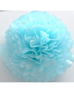 Tissue Pom Poms Twinkle Twinkle Little Star Gender Reveal Party Supplies Baby Shower Decorations Baby Blue Pink Paper Lantern...