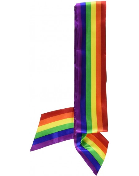 Favors Rainbow Satin Sash Party Accessory (1 count) (1/Pkg) - CI114Y8STPT $9.60