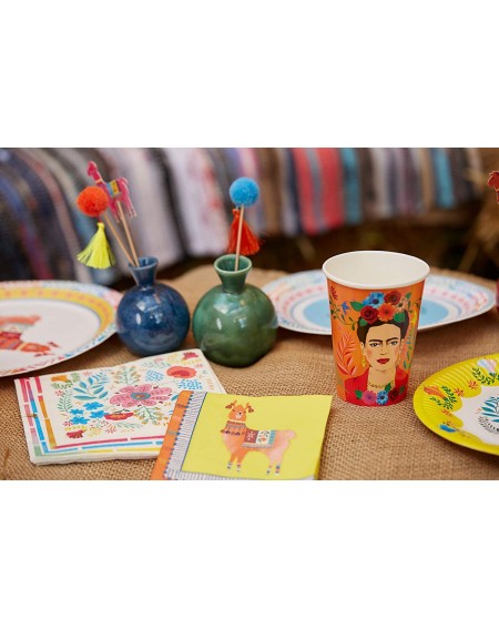 Party Packs Cinco de Mayo Boho Llama Party Supplies Paper Napkins Pk 20 - CK189IT50Y5 $10.18