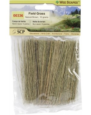 Party Favors 00336 Field Grass- 10g- Natural Brown - C211EH9VX7L $7.61