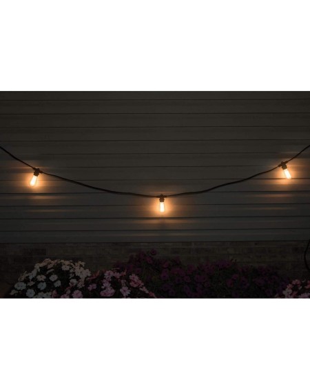 Outdoor String Lights 40W ST58 Bulb Nostalgic Vintage Edison Incandescent Weatherproof Outdoor String Lights- 48 feet- Black ...