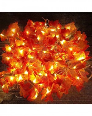 Indoor String Lights 5 Pack Maple Leaves Garland String Lights-Thanksgiving Decorations Fall String Lights with 50 Ft/100 LED...