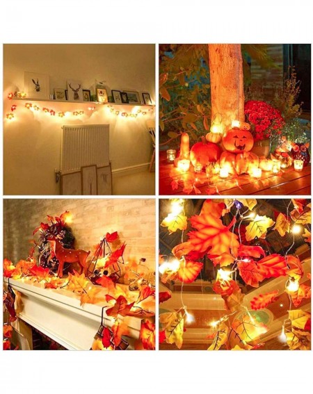 Indoor String Lights 5 Pack Maple Leaves Garland String Lights-Thanksgiving Decorations Fall String Lights with 50 Ft/100 LED...