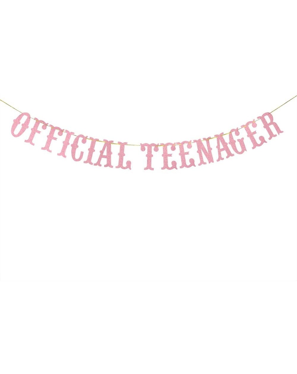 Banners Official Teenager Banner- Happy 13th Birthday Banner- Thirteen Years Old Birthday Party Sign- 13th Birthday Party Dec...