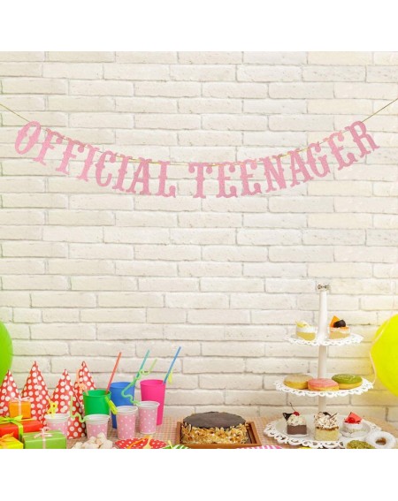 Banners Official Teenager Banner- Happy 13th Birthday Banner- Thirteen Years Old Birthday Party Sign- 13th Birthday Party Dec...