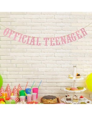 Banners Official Teenager Banner- Happy 13th Birthday Banner- Thirteen Years Old Birthday Party Sign- 13th Birthday Party Dec...