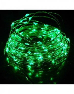 Indoor String Lights Green LED String Lights USB Plug Solid ON Mode 33Ft 100 LED Fairy Decorative Lighting Spring Festival Ho...