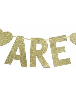 Banners We are Two Gold Glitter Garland Bunting Banner- Twins' 2nd Birthday Party Decorations - CG18GYRAKWZ $9.79