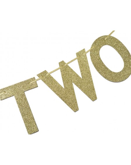 Banners We are Two Gold Glitter Garland Bunting Banner- Twins' 2nd Birthday Party Decorations - CG18GYRAKWZ $9.79