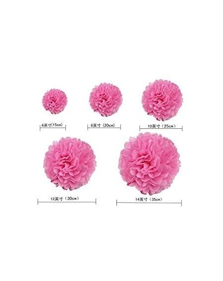 Tissue Pom Poms 5pcs Tissue Paper Pom-poms Flower Ball Wedding Party Outdoor Decoration Wedding / Baby Shower / Birthday Part...